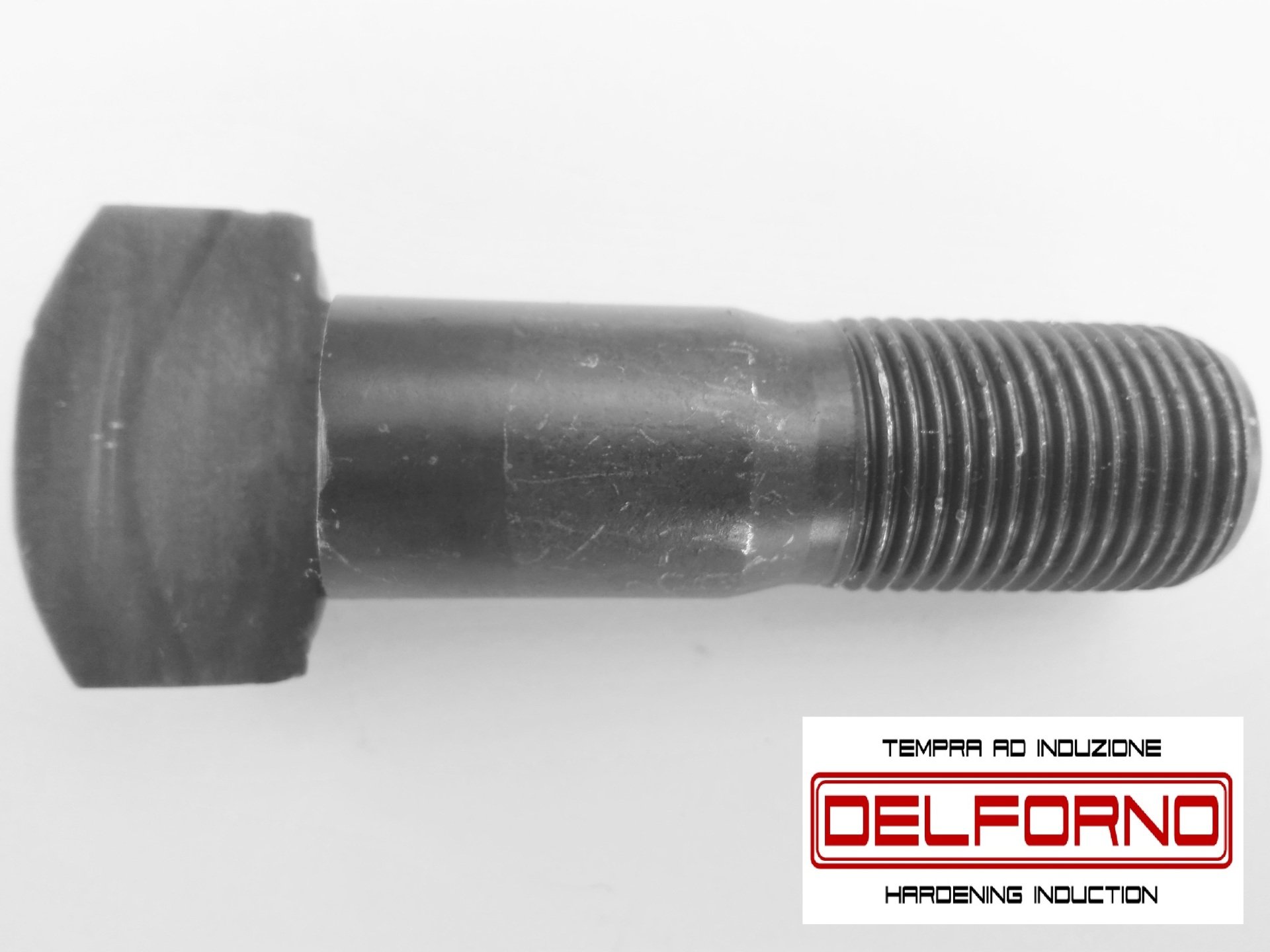 DELFORNO srl  Rivoli (TO)