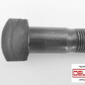 DELFORNO srl  Rivoli (TO)