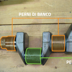 DELFORNO srl  Rivoli (TO)